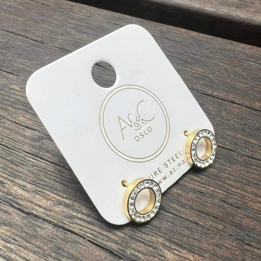 Earring, Pure Steel, crystal circle