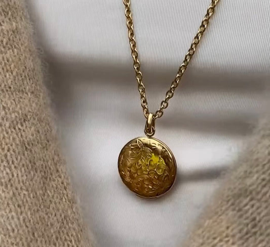 Necklace, pure steel, long with locket