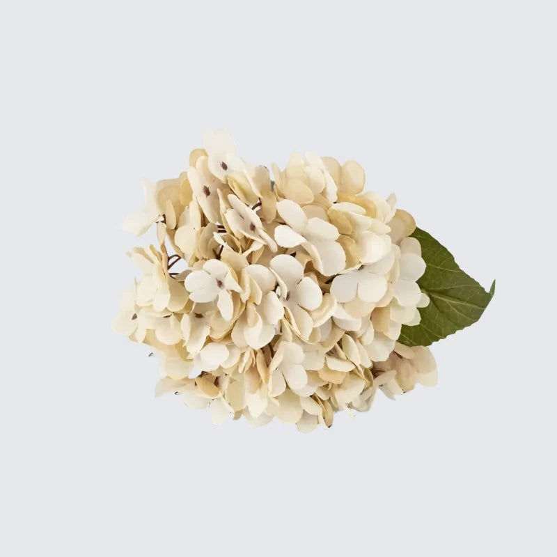 Vintage artificial silk hydrangeas