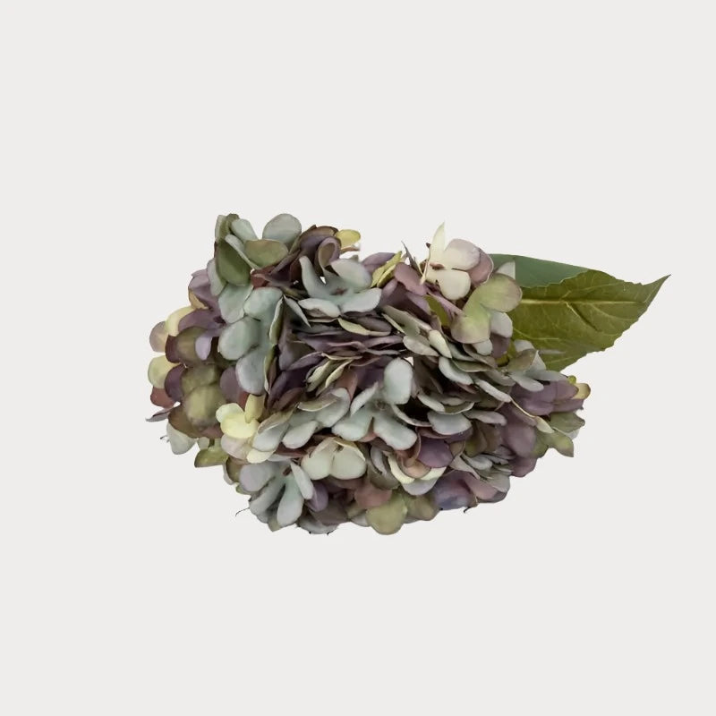 Vintage artificial silk hydrangeas