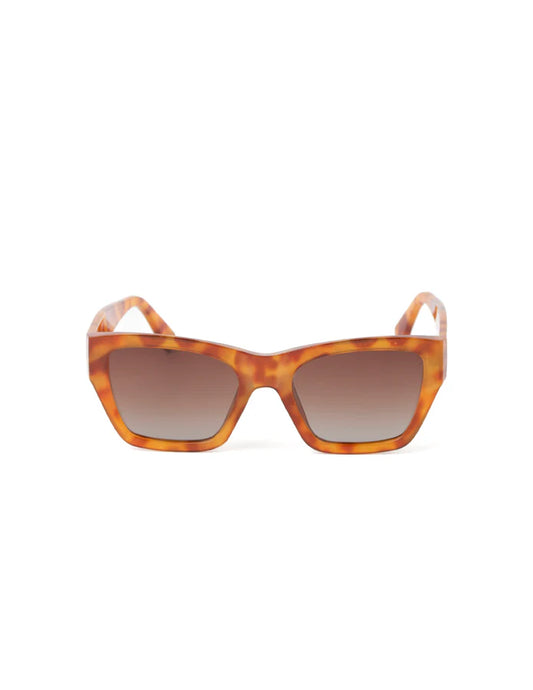 Paige light tort sunglasses