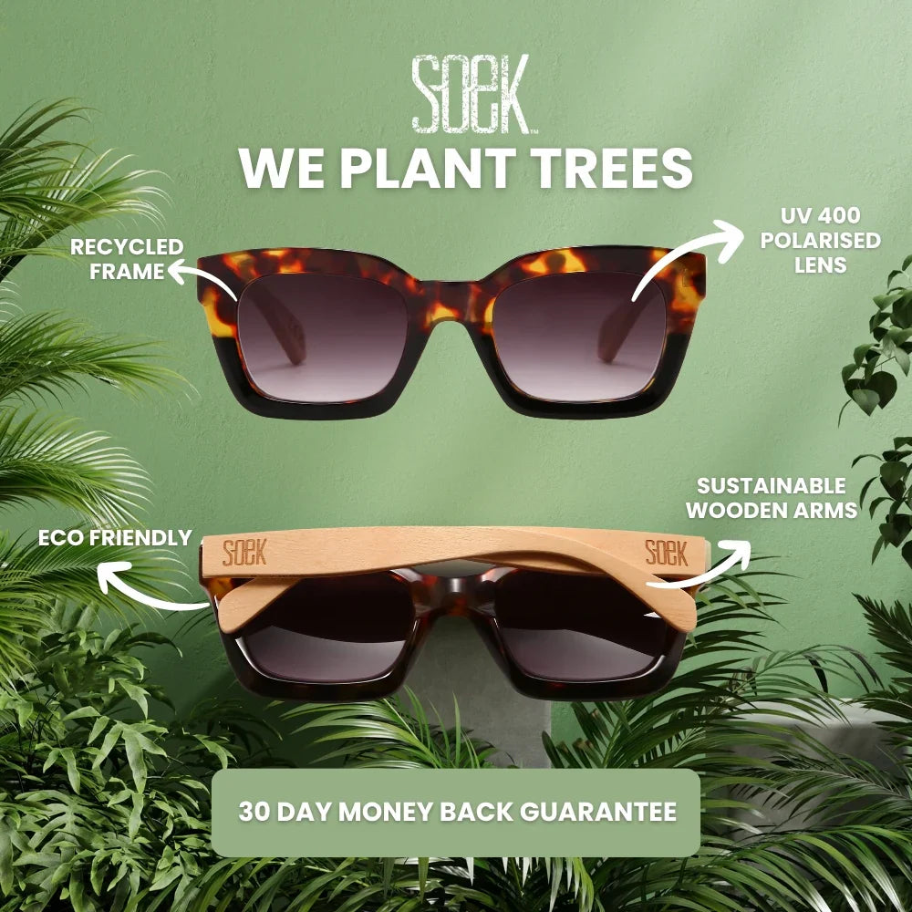 Soek Sunglasses, Quest