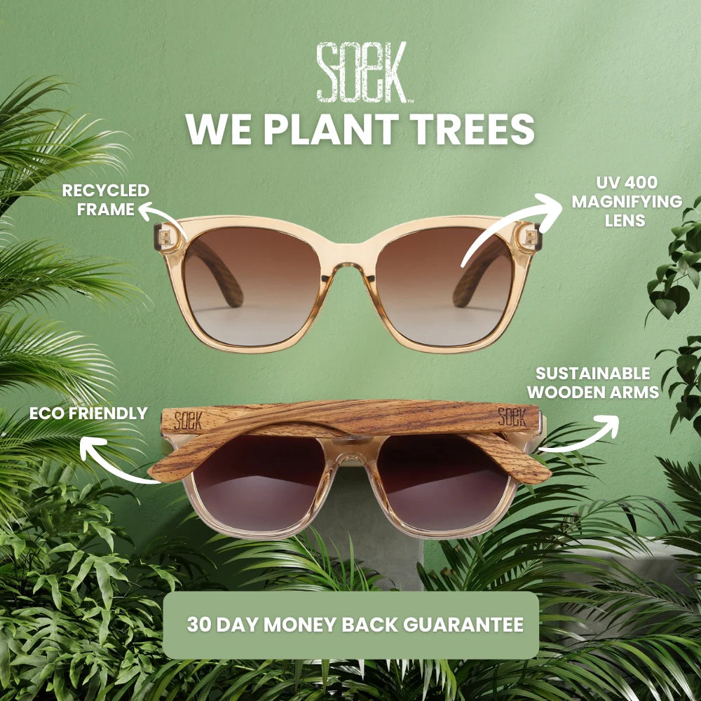 Soek sunglasses, Icon