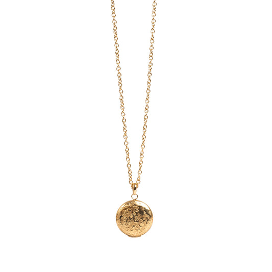 Necklace, pure steel, long with locket